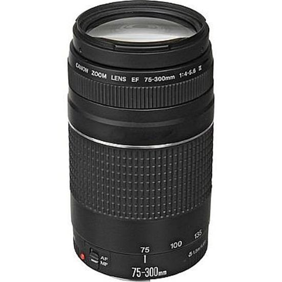 Objetiva Canon 75-300mm f4-5.6 EF III Objetiva Canon 75-300mm f4-5.6 EF III