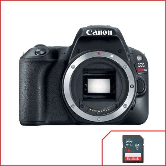 Corpo Canon EOS Rebel SL2 Wifi 24.2MP Corpo Canon EOS Rebel SL2 Wifi 24.2MP