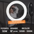 RL18-EQUIFOTO-POTENTE
