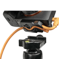 TG-LLP_7